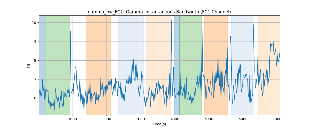 gamma_bw_FC1: Gamma Instantaneous Bandwidth (FC1 Channel)