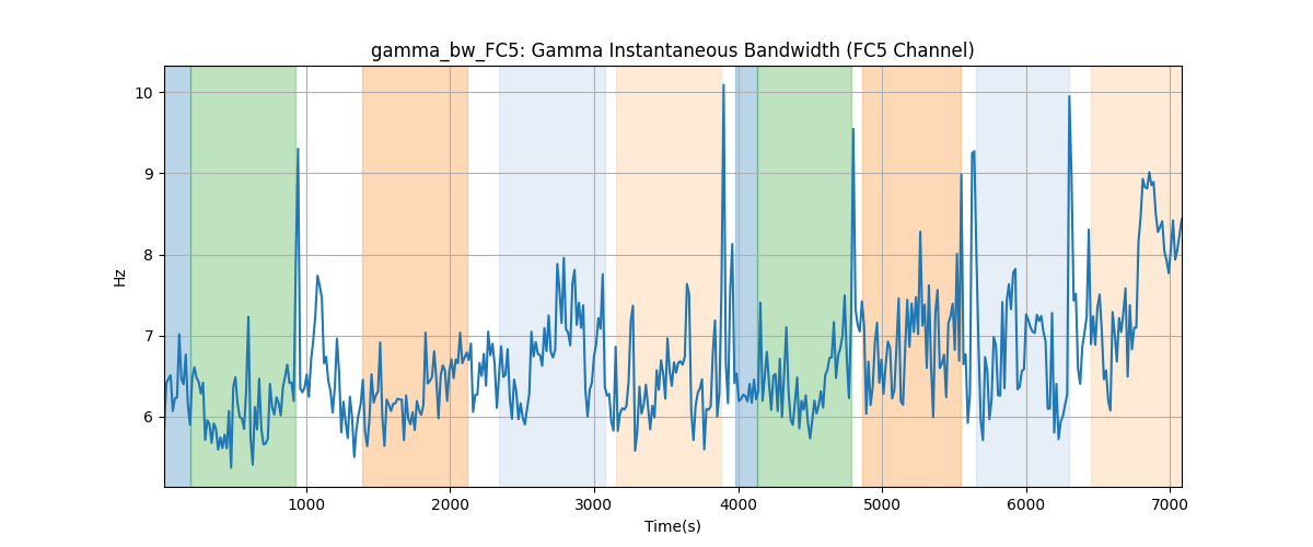 gamma_bw_FC5: Gamma Instantaneous Bandwidth (FC5 Channel)