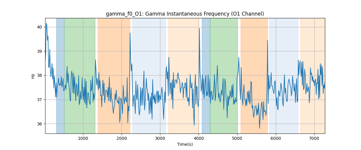 gamma_f0_O1: Gamma Instantaneous Frequency (O1 Channel)