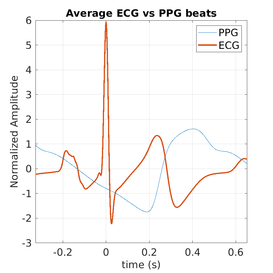 S024_ppg_avg_ecg_ppg