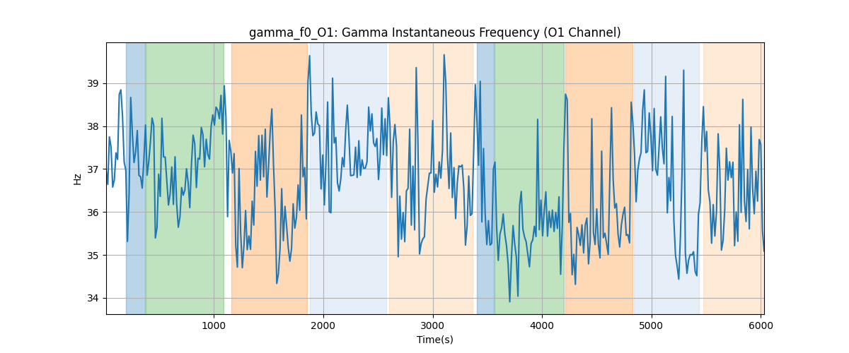 gamma_f0_O1: Gamma Instantaneous Frequency (O1 Channel)